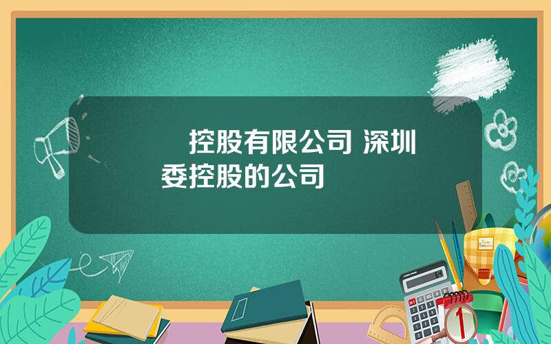 國際控股有限公司 深圳國資委控股的公司